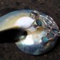 925 Silver Paua Shell Nautulis Shell Pendant SP-230-KT