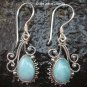 Sterling Silver Larimar Earrings ER-563-NY