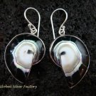 Sterling Silver Black Nautilus Shell Earrings ER-535-KT