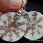 925 Silver Garnet & Shell Earrings ER-539-KT
