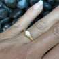18k Gold Plated Skull and Dragon Ring GPR-146
