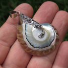 Sterling Silver and Nautilus Shell Pendant SP-877