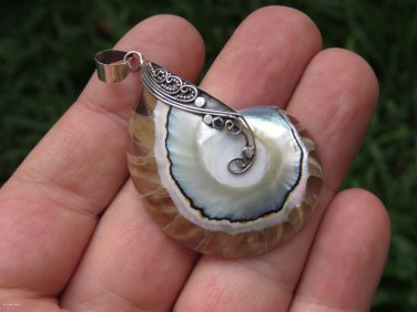 Sterling Silver and Nautilus Shell Pendant SP-877