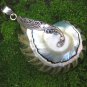 Sterling Silver and Nautilus Shell Pendant SP-877