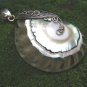 Sterling Silver and Nautilus Shell Pendant SP-877