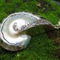 Sterling Silver and Nautilus Shell Pendant SP-877