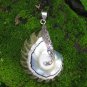 Sterling Silver and Nautilus Shell Pendant SP-877