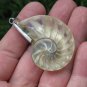 Sterling Silver and Nautilus Shell Pendant SP-877