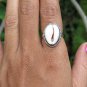 925 Silver  Cowrie Shell Ring RI-744-DG