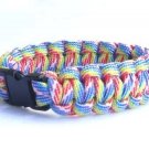Rainbow Paraclete