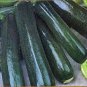 ZUCCHINI, SQUASH, BLACK BEAUTY, HEIRLOOM, ORGANIC, 25+ SEEDS, DELICIOUS HEALTHY