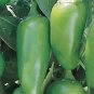 PEPPER, EARLY JALAPENO CHILLE , HEIRLOOM, ORGANIC 25+ SEEDS, SPICY GREAT FRESH
