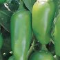 PEPPER, EARLY JALAPENO CHILLE , HEIRLOOM, ORGANIC 25+ SEEDS, SPICY GREAT FRESH