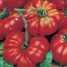 TOMATO, BEEFSTEAK, HEIRLOOM, ORGANIC 25+ SEEDS, GREAT SLICED TOMATO, DELICIOUS