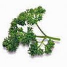 PARSLEY, TRIPLE CURLED,  HEIRLOOM, ORGANIC 25+ SEEDS, GREAT FRESH OR DRIED HERB