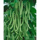 BEAN, KENTUCKY WONDER POLE GREEN BEAN, HEIRLOOM, ORGANIC 20+ SEEDS, CLASSIC BEAN