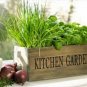 Herb Garden Collection, Small, Heirloom, Organic Seeds, Great for Small Garden
