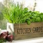 Herb Garden Collection, Small, Heirloom, Organic Seeds, Great for Small Garden