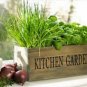 Herb Garden Collection, Small, Heirloom, Organic Seeds, Great for Small Garden