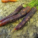 CARROT, PURPLE HAZE, HYBRID, ORGANIC 20+ SEEDS, UNUSUAL DELICIOUS AND SWEET