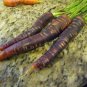 CARROT, PURPLE HAZE, HYBRID, ORGANIC 20+ SEEDS, UNUSUAL DELICIOUS AND SWEET