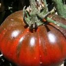TOMATO, BLACK FROM TULA, HEIRLOOM, ORGANIC 25+ SEEDS, LARGEST BLACK TOMATO-TASTY