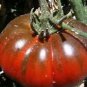 TOMATO, BLACK FROM TULA, HEIRLOOM, ORGANIC 25+ SEEDS, LARGEST BLACK TOMATO-TASTY