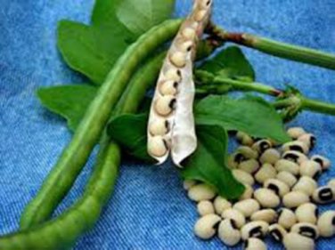 PEAS, CALIFORNIA BLACK EYE,  HEIRLOOM, ORGANIC 20+ SEEDS, A SIMPLY DELICIOUS PEA