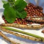 PEAS, MISSISSIPPI SILVER, HEIRLOOM, ORGANIC 20+ SEEDS, A WONDERFUL PEA VARIETY