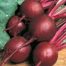 BEETS,RUBY QUEEN,  HEIRLOOM, ORGANIC  25+ SEEDS, TENDER AND SWEET, DEEP RED