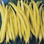 BEAN, GOLDEN WAX BUSH, HEIRLOOM, ORGANIC 25+ SEEDS, GREAT TASTING FRESH N COOKED