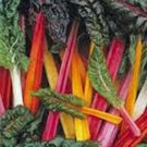 SWISS CHARD, RAINBOW, HEIRLOOM, ORGANIC 25+SEEDS, CRISP LEAVES N COLORFUL STEMS