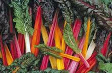 SWISS CHARD, RAINBOW, HEIRLOOM, ORGANIC 25+SEEDS, CRISP LEAVES N COLORFUL STEMS