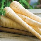 PARSNIP, HARRIS MODEL, HEIRLOOM, ORGANIC 50+ SEEDS, A HEALTHY TASTY ROOT VEGGIE