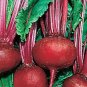 BEETS,DETROIT DARK RED, HEIRLOOM, ORGANIC 25+ SEEDS, TENDER AND SWEET, DEEP RED