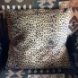 Cheetah Fever