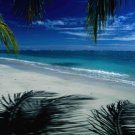 Bahamas Cruise and Luxury Resort Vacation Package for 2