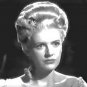 The Young Mr. Pitt Film DVD 1942 Drama Robert Donat Robert Morley Carol Reed