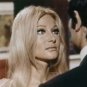 Criminal Affair 1968 DVD Film Comedy Ann-Margret Rossano Brazzi Barbara Nichols