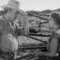 The Painted Desert 1931 DVD Film Western William Boyd Helen Twelvetrees Farnum