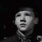 Fame is the Spur 1947 DVD Film British Political Drama Michael Redgrave Rosamund