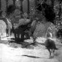 The Fighting Stallion 1950 DVD Film Western Bill Edwards Doris Merrick Forrest Taylor Don C. Harve
