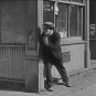 The Goat 1921 DVD Film Comedy Buster Keaton Virginia Fox Joe Roberts Malcolm St. Clair Edward F. Cli