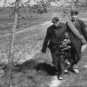 The True Glory 1945 DVD Film Documentary Dwight D. Eisenhower Franklin D. Roosevelt Winston Church