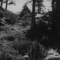 Thunder Mountain 1935 DVD Film Action George O'Brien Barbara Fritchie Frances Grant Morgan Wallace