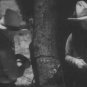 Wild Mustang 1935 DVD Film Action Harry Carey Barbara Fritchie Del Gordon Katheryn Johns Bob Kortm