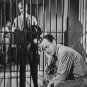 Roses are Red 1947 DVD Film Crime Don Castle Peggy Knudsen Patricia Knight Joe Sawyer Edward Keane