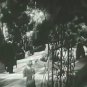 Moonlight Sonata 1955 DVD Film Comedy Ignacy Jan Paderewski Charles Farrell Marie Tempest Barbara