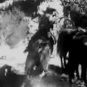 Wild Country 1947 DVD Film Documentary Written by Arthur E. Orloff