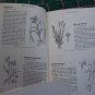 60s VTG Wild FLower Reference Book